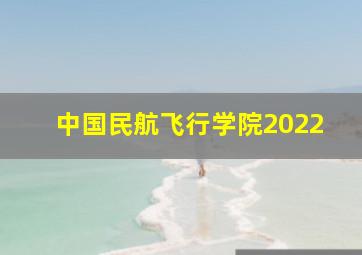 中国民航飞行学院2022