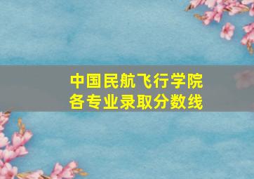 中国民航飞行学院各专业录取分数线