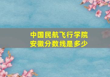 中国民航飞行学院安徽分数线是多少