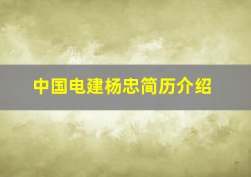 中国电建杨忠简历介绍