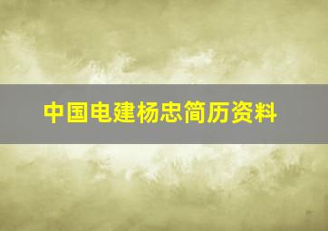 中国电建杨忠简历资料