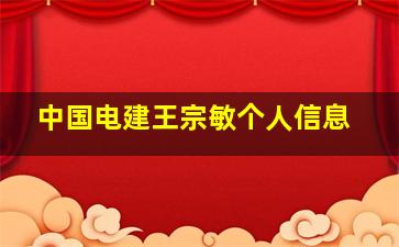 中国电建王宗敏个人信息