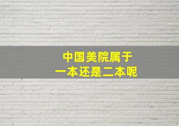 中国美院属于一本还是二本呢