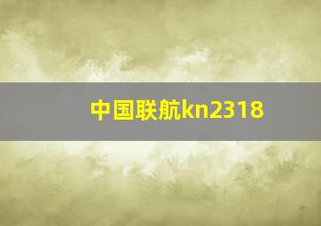 中国联航kn2318