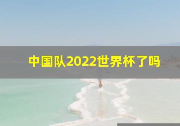 中国队2022世界杯了吗