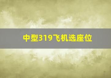 中型319飞机选座位