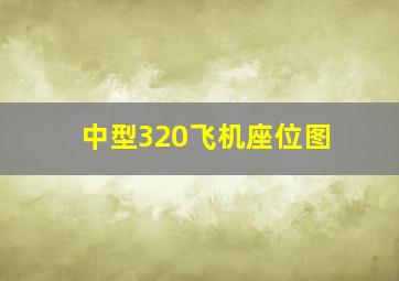 中型320飞机座位图