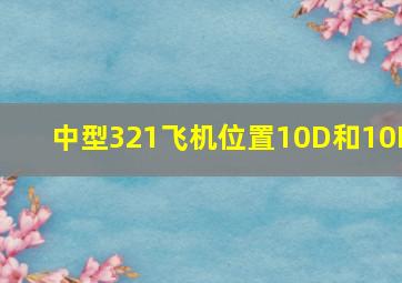 中型321飞机位置10D和10E