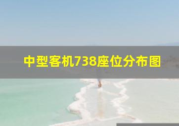 中型客机738座位分布图