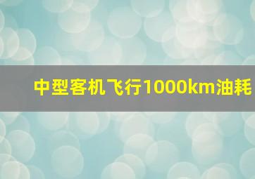 中型客机飞行1000km油耗