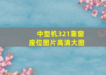 中型机321靠窗座位图片高清大图