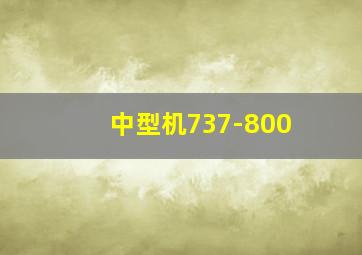 中型机737-800