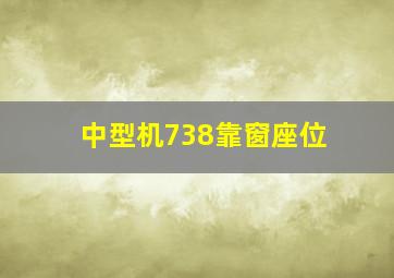 中型机738靠窗座位