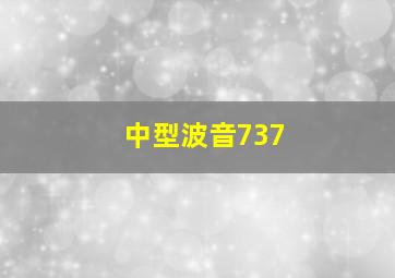 中型波音737