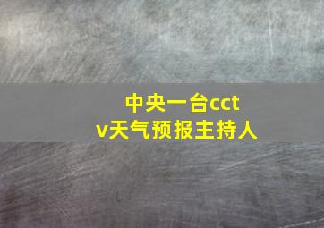 中央一台cctv天气预报主持人