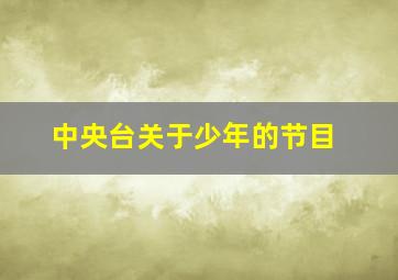 中央台关于少年的节目