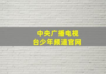 中央广播电视台少年频道官网