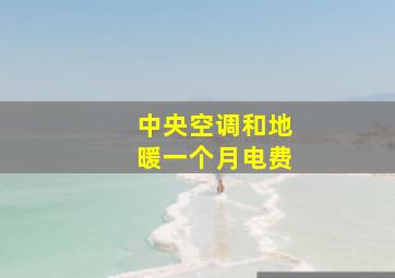 中央空调和地暖一个月电费