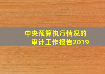 中央预算执行情况的审计工作报告2019