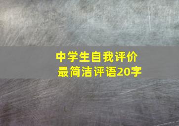 中学生自我评价最简洁评语20字