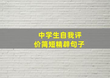 中学生自我评价简短精辟句子