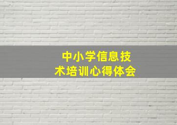 中小学信息技术培训心得体会