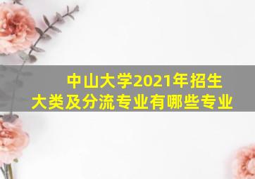 中山大学2021年招生大类及分流专业有哪些专业