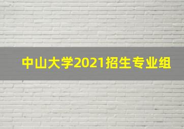 中山大学2021招生专业组