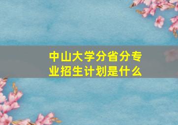 中山大学分省分专业招生计划是什么