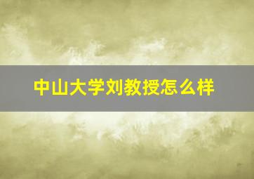 中山大学刘教授怎么样