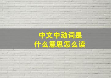 中文中动词是什么意思怎么读