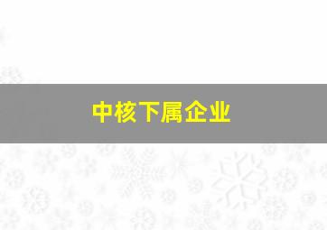 中核下属企业