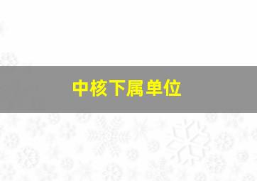 中核下属单位