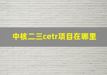 中核二三cetr项目在哪里