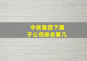 中核集团下属子公司排名第几