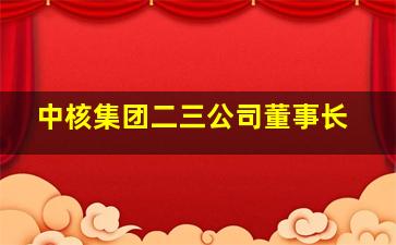 中核集团二三公司董事长