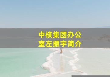 中核集团办公室左振宇简介