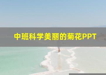 中班科学美丽的菊花PPT