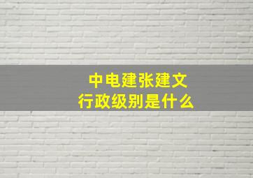 中电建张建文行政级别是什么