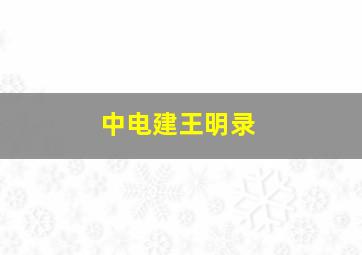 中电建王明录