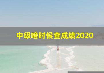 中级啥时候查成绩2020