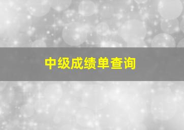 中级成绩单查询