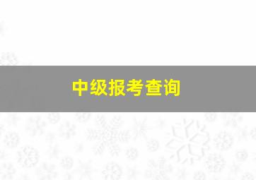 中级报考查询