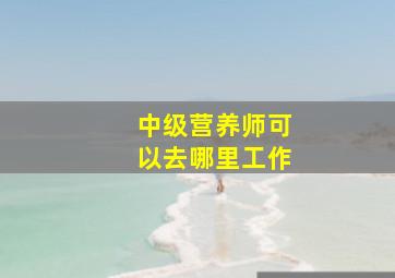 中级营养师可以去哪里工作