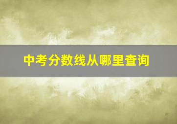 中考分数线从哪里查询