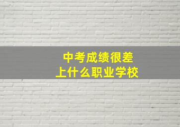 中考成绩很差上什么职业学校