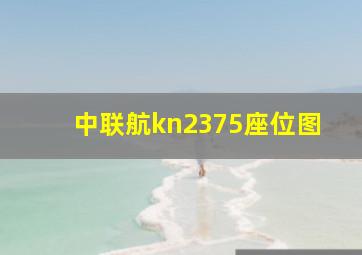 中联航kn2375座位图