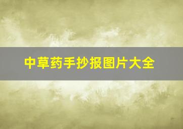 中草药手抄报图片大全