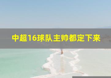 中超16球队主帅都定下来