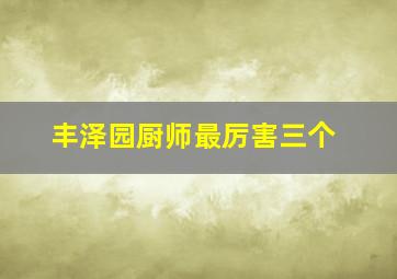 丰泽园厨师最厉害三个